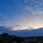 IMG_20220722_175636